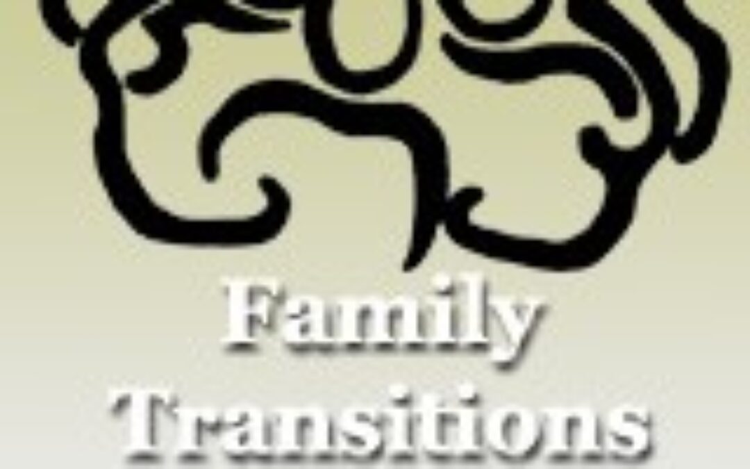 Family Transitions Project