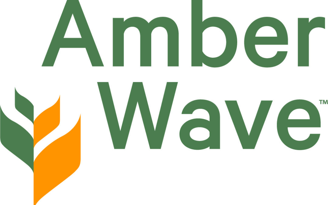 Amber Wave